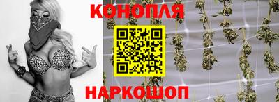 гидра Краснокаменск
