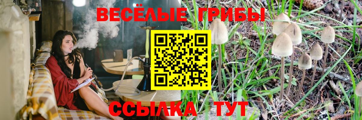 Псилоцибиновые грибы MAGIC MUSHROOMS  Вход с VPN  Галлюциногенные грибы Psilocybe  Кольчугино 
